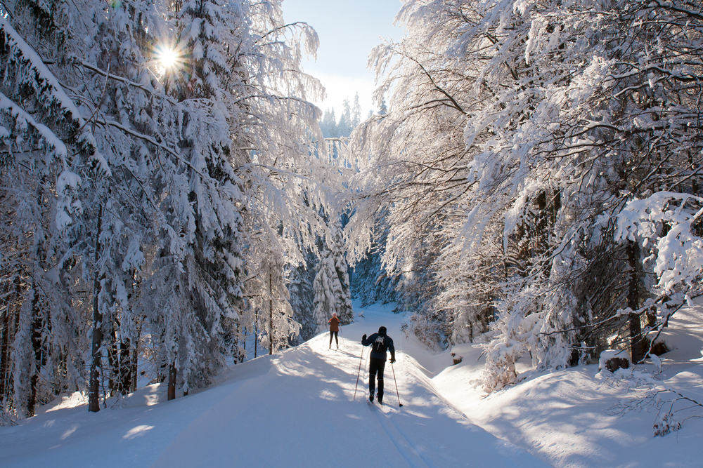 Two people cross country skiing in a wooded area covered in thick snow. All the trees are loaded with snow and there is a snow covered path through the trees.