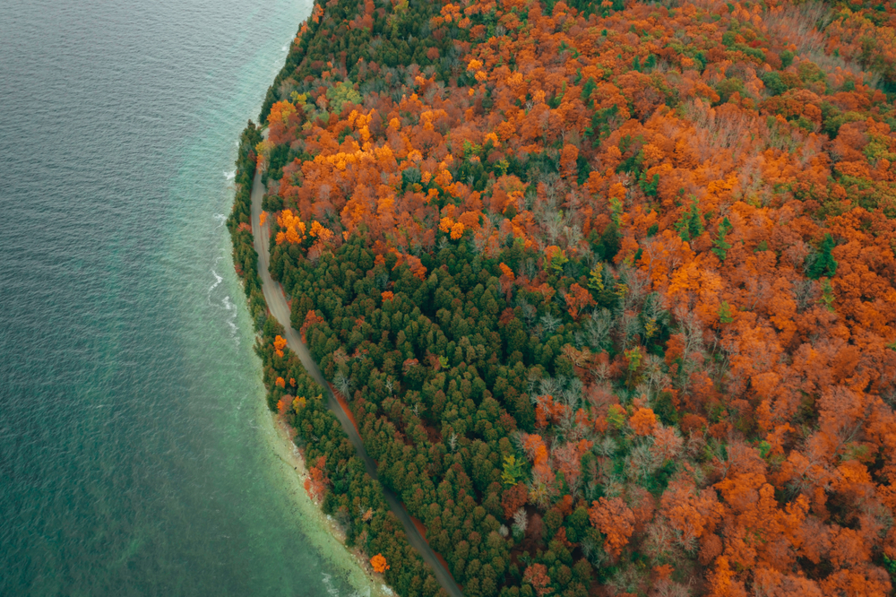 An areal view of fall in Wisconsin showing red orange and greens trees and a lake