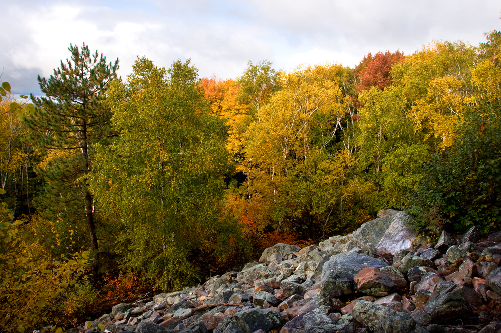 A Rock Bluff with Foliage on Autumn Trees