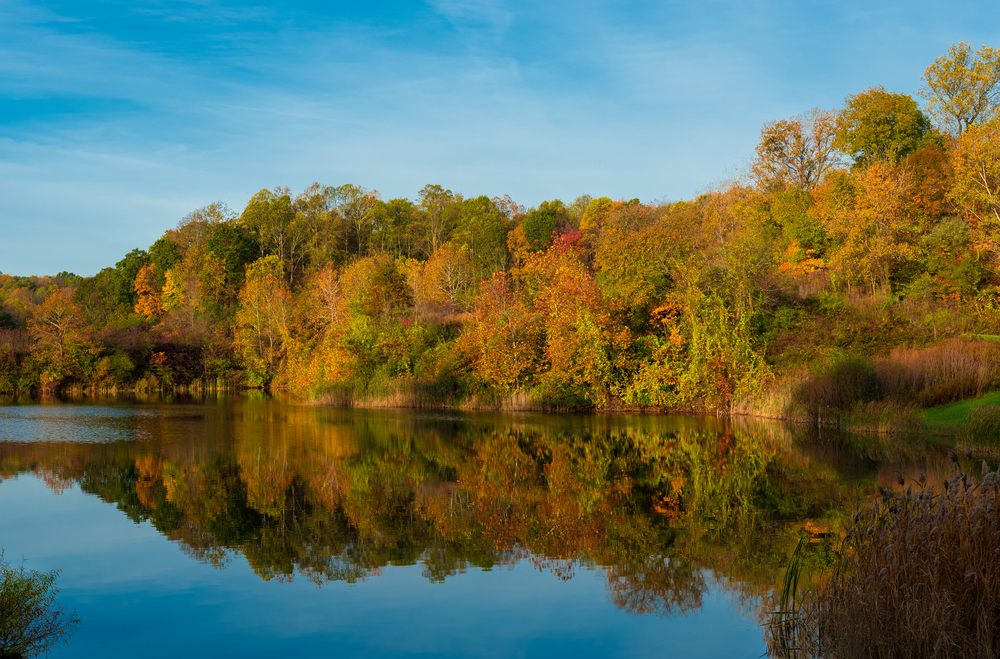 A lake in the Cuyahoga Valley surrounded by trees with multicolor fall eaves.