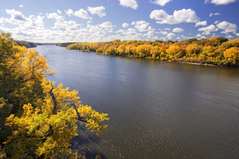 The Mississippi River outside of St. Paul Minnesota with a dense forest on either river bank. The river banks are covered with trees. The trees have yellow, orange, and green leaves. The sky is light blue with big fluffy clouds. 