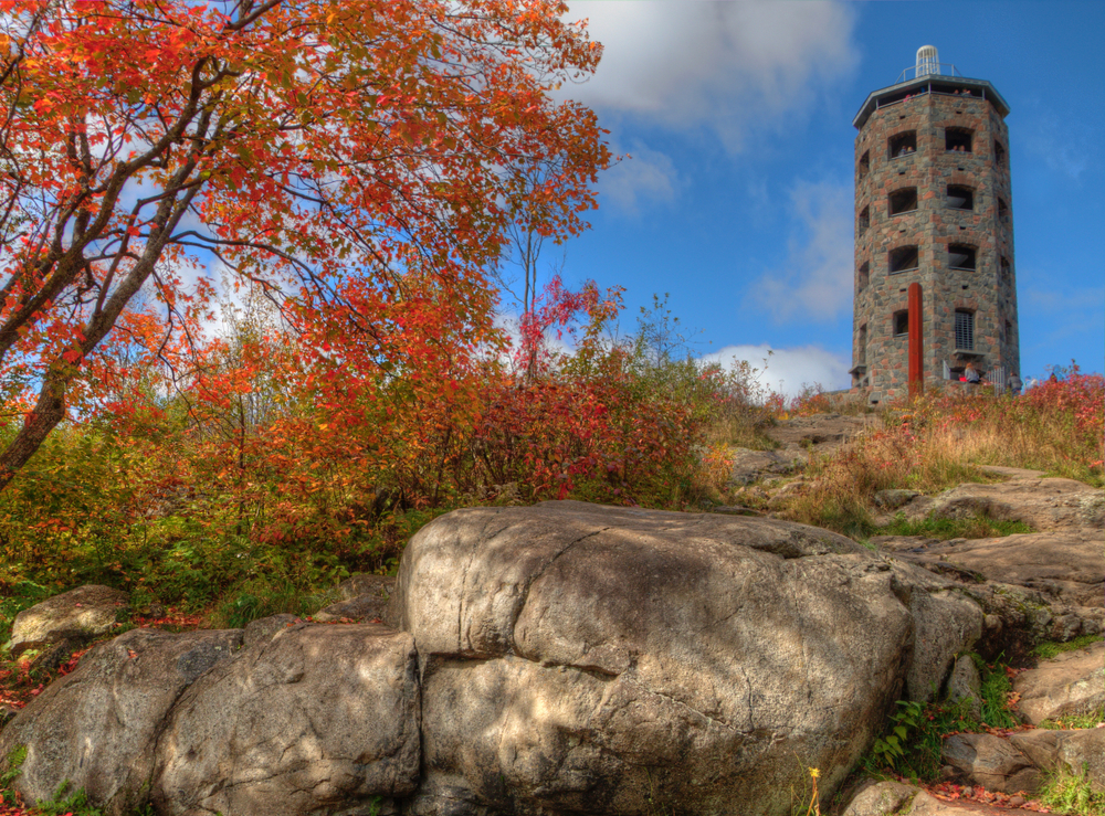 Rocks and bushes in the foreground with a tower in the background Enger Tower is one of the things to do in Duluth