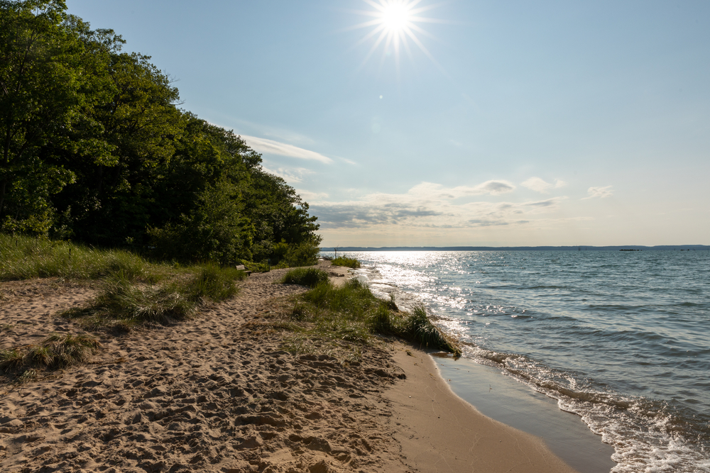 A beach with trees in the background one of the beaches in Traverse City