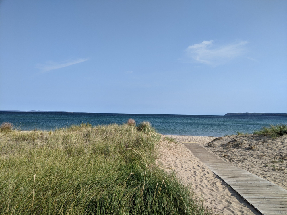 A grassy sandy beach with a boardwalk with the blue sea in the background