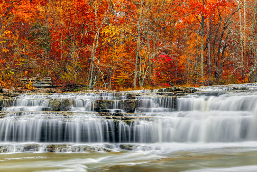A large multi cascading waterfall. Behind the waterfall is a dense forest full of fall foliage. The leaves are red, orange, and yellow. It is one of the best things to do in Indiana. 