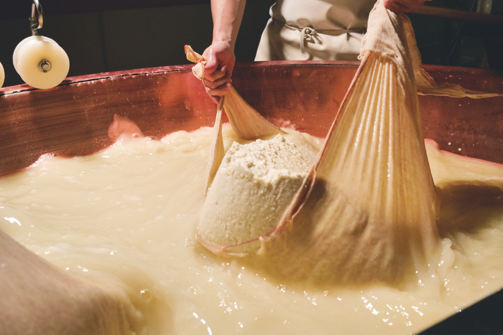 Someone making a large batch of parmesan cheese in a copper tub. They are holding a large cheesecloth with parmesan cheese in it half in a milky liquid. 