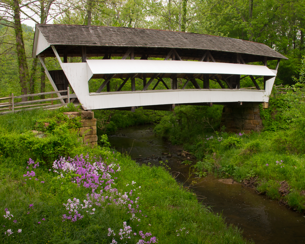 A white bridge over a creek with purple flowers in the foreground. Mink Hallow is a covered Bridge in Ohio
