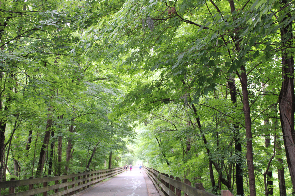 A paved walkway with a wooden fence on either side of it. Behind the fence is a dense wooded area with lush greenery. In the distance you can see people walking on the trail. 