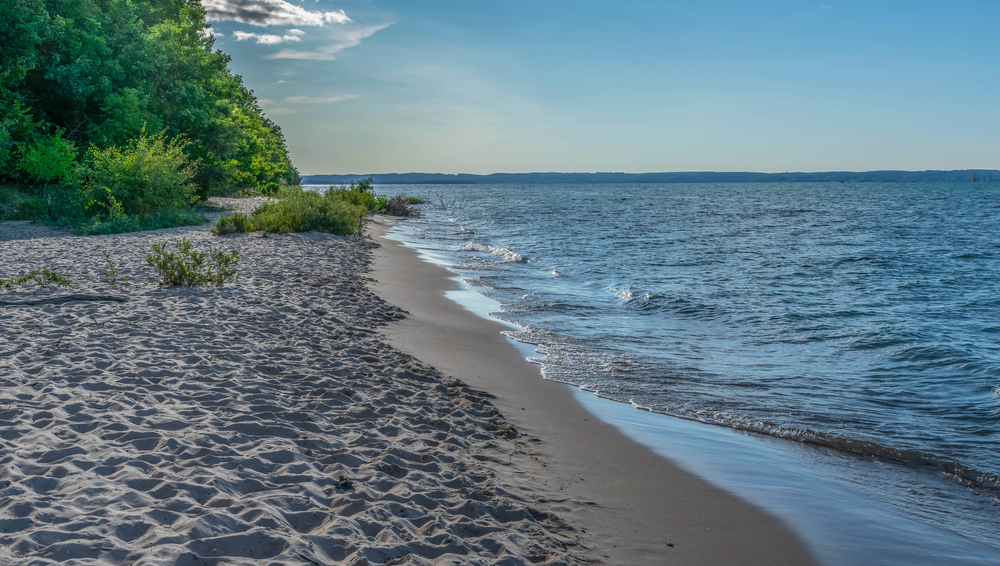 An isolated beach at dusk with trees in the background.