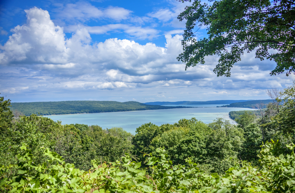 Green Trees overlooking a blue lake