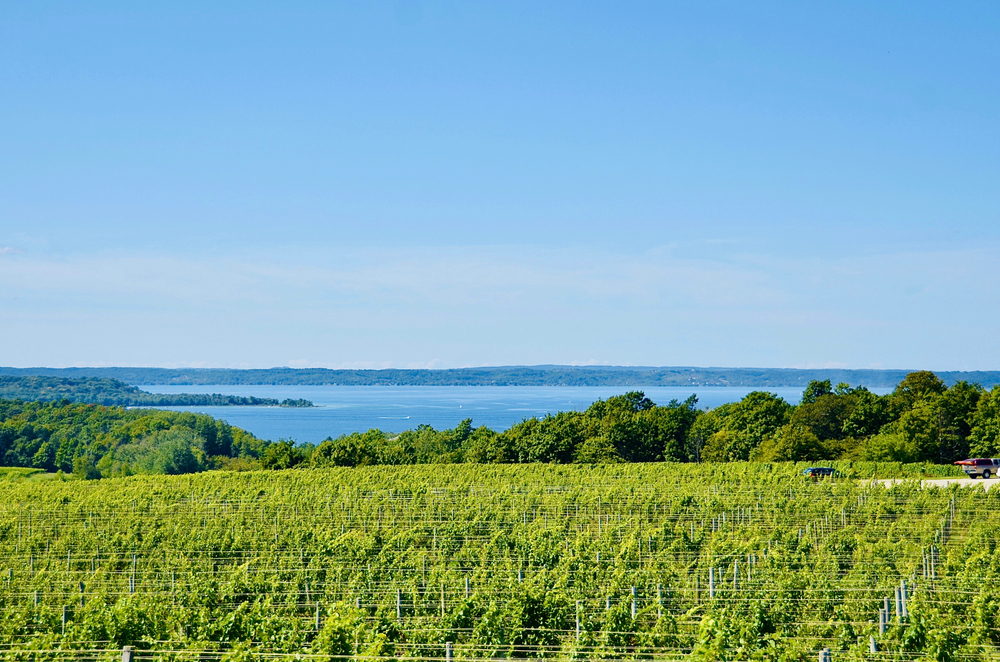 A winery overlooking the lake in an article about Things to Do in Traverse City