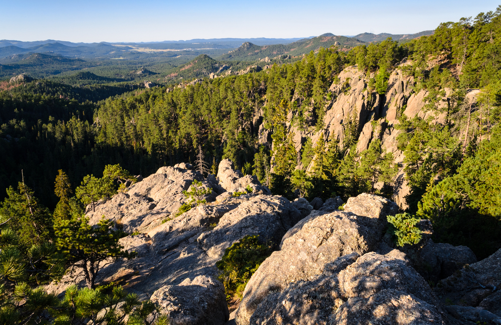 The mountains of Black Hills National Forest.