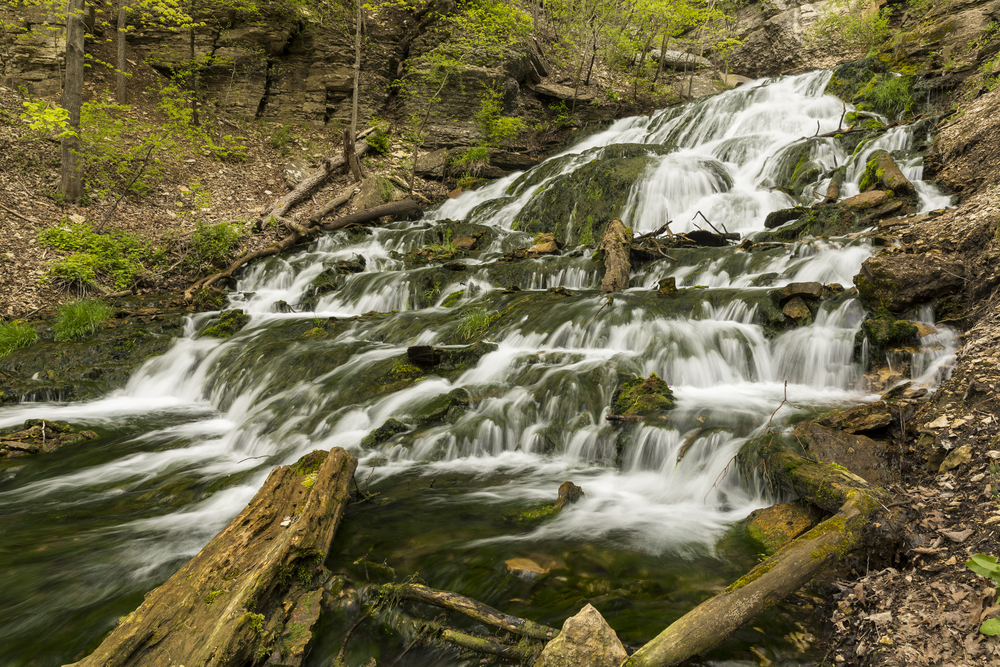 Dunnings Springs Waterfall flowing down over mossy rocks and logs in a forest in Iowa.