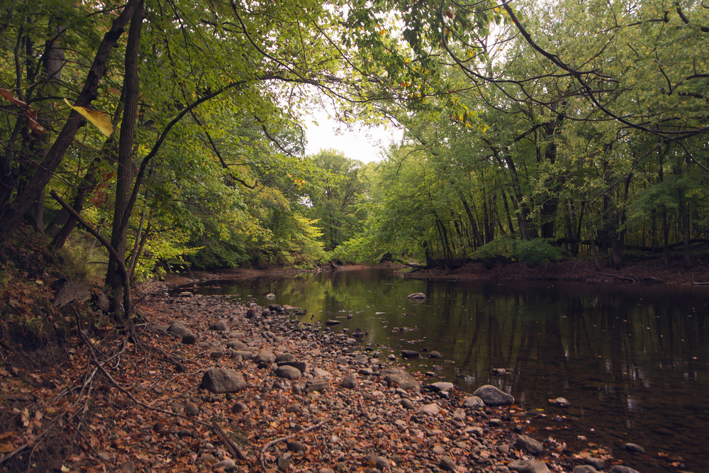 A river with a stone bank and tress hanging over it