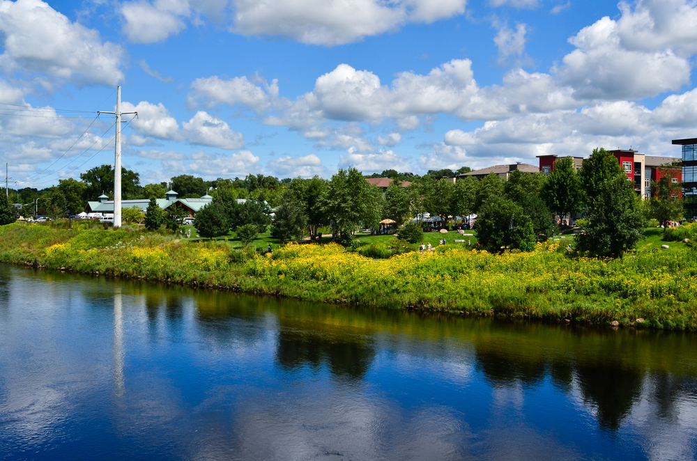 Looking at the shore of the town of Eau Claire. You can see people hanging out on a grassy lawn, modern new buildings, trees, and tall grasses with yellow flowers. The sky is blue with white clouds.