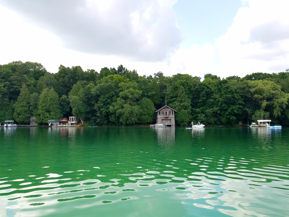 Houses and boats on the shore of a lake in one of the best small towns in Wisconsin. The shore is covered in trees with green leaves and the water is a greenish blue color. 