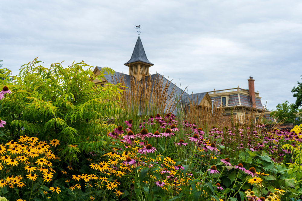 A view of flowers in a garden in front of a large old home. The flowers are purple and yellow. there are also tall grasses and shrubs. 