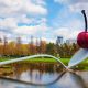 A large sculpture of a spoon with a cherry perched on top of it. The spoon is resting on the shore and crosses to the middle of a small lake. Around it is a grassy area with benches and trees in the distance with little to no leaves. Behind the trees you can see a city skyline. One of the best things to do in Minnesota.