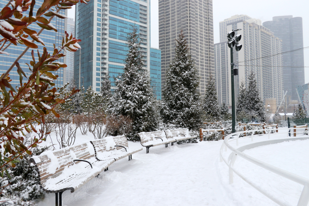 A walkway with benches on the side. The walkway and benches are covered in snow and the trees around it are also covered in snow. In the background you can see skyscrapers. 