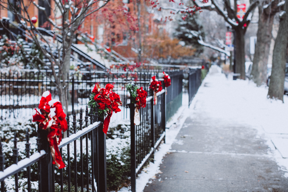 A residential sidewalk in Chicago. There are black wrought iron fences in front of houses that have red Christmas ribbons on them. The bushes are covered in snow and you can see snow on the sidewalk. 