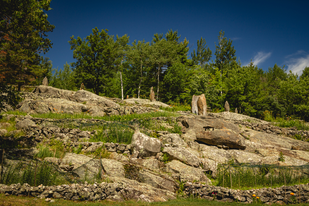 A rocky cliff with rock sculptures perched on top of it in various places. There is grass and yellow flowers growing on the rocks. Behind them you can see trees. 