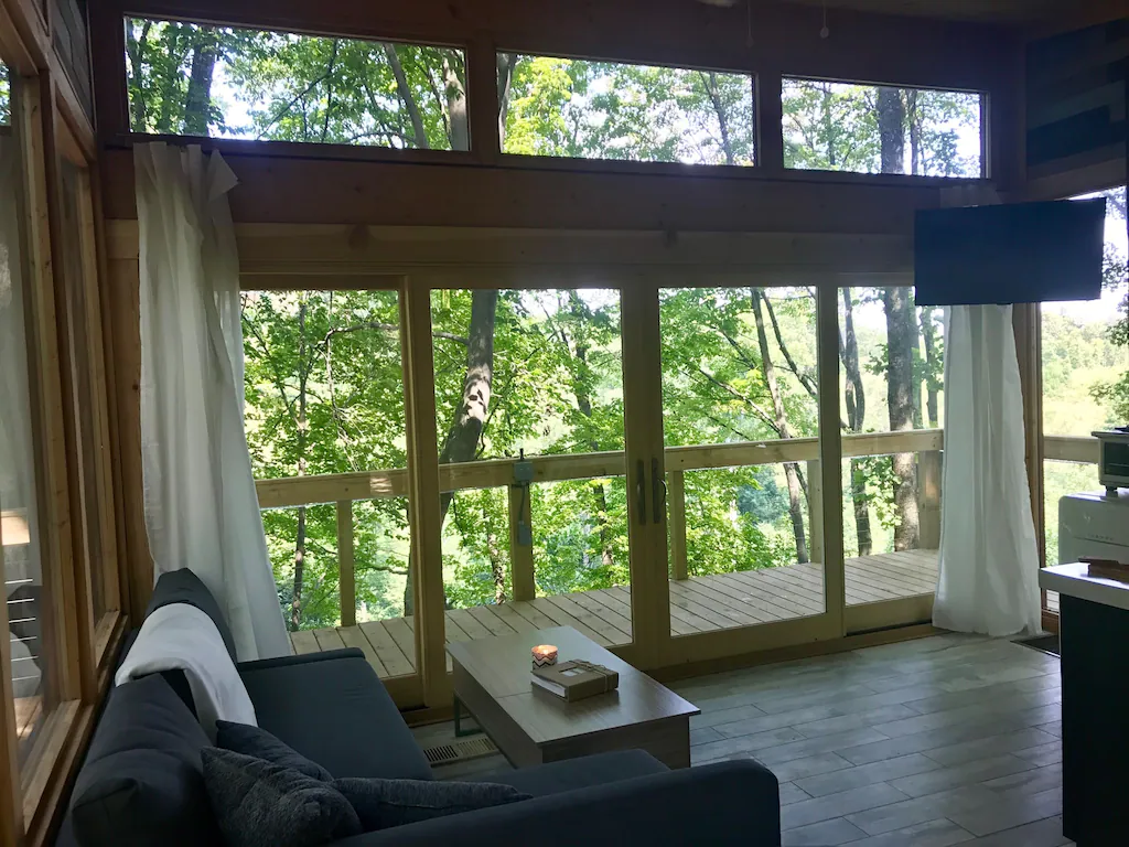 Room with lots of glass windows and doors with green trees outside. Couch and table in foreground.