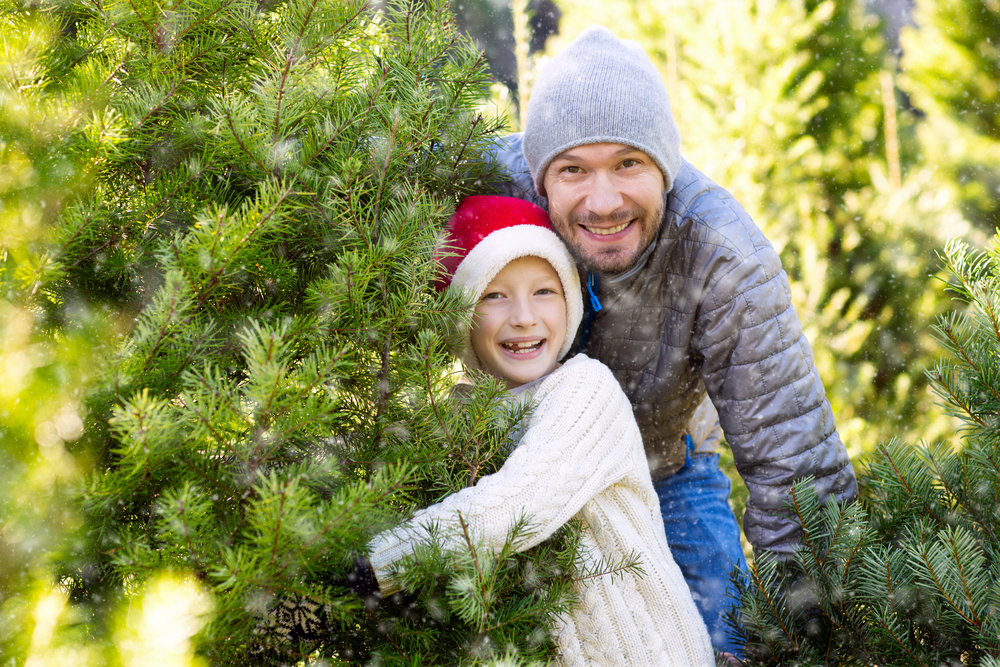 Smiling Caucasian father and son (wearing red Santa hat) selecting Ohio Christmas tree.