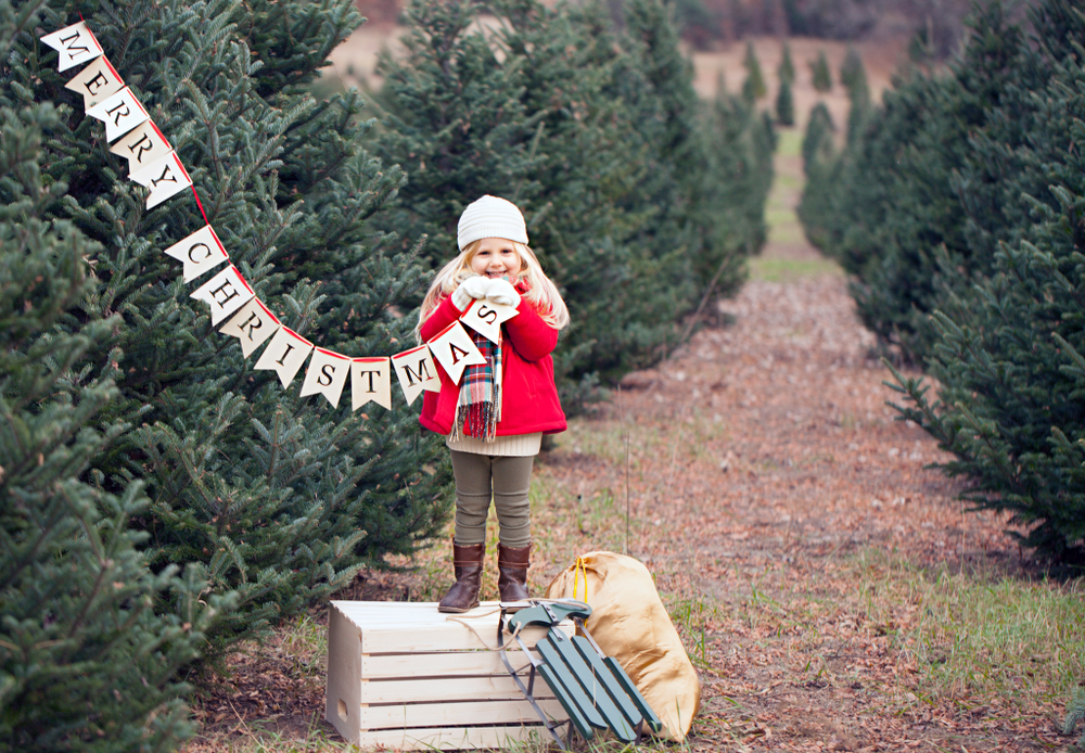 Caucasian little girl holding banner in Ohio Christmas tree farm.