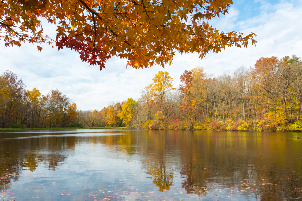 A lake at the Eagle Creek Park surrounded by fall foliage.