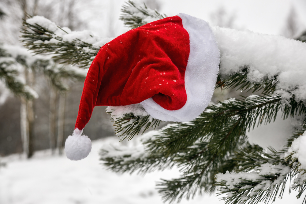 Santa hat hanging on a snowy evergreen tree.