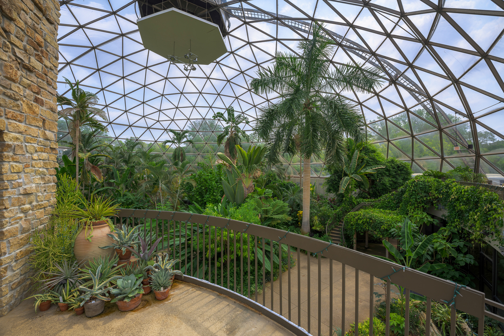 Inside the conservatory at the Greater Des Moines Botanical Garden with many lush plants.