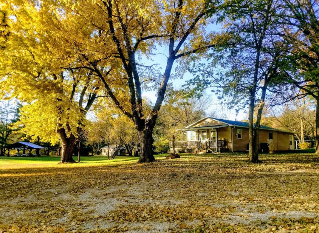 A small cabin surrounded by tall trees with yellow and green leaves. There are leaves on the ground all around it and a large yard.