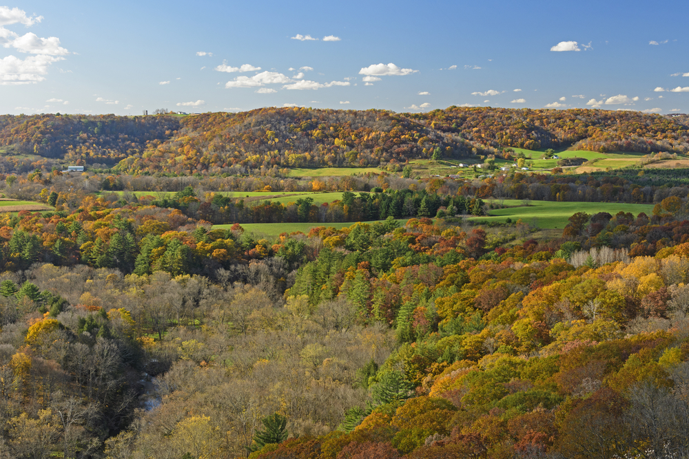 Looking at rolling hills covered in trees with orange, yellow, and green leaves. There are also patches of very green farmland and the occasional structure near the fields. 