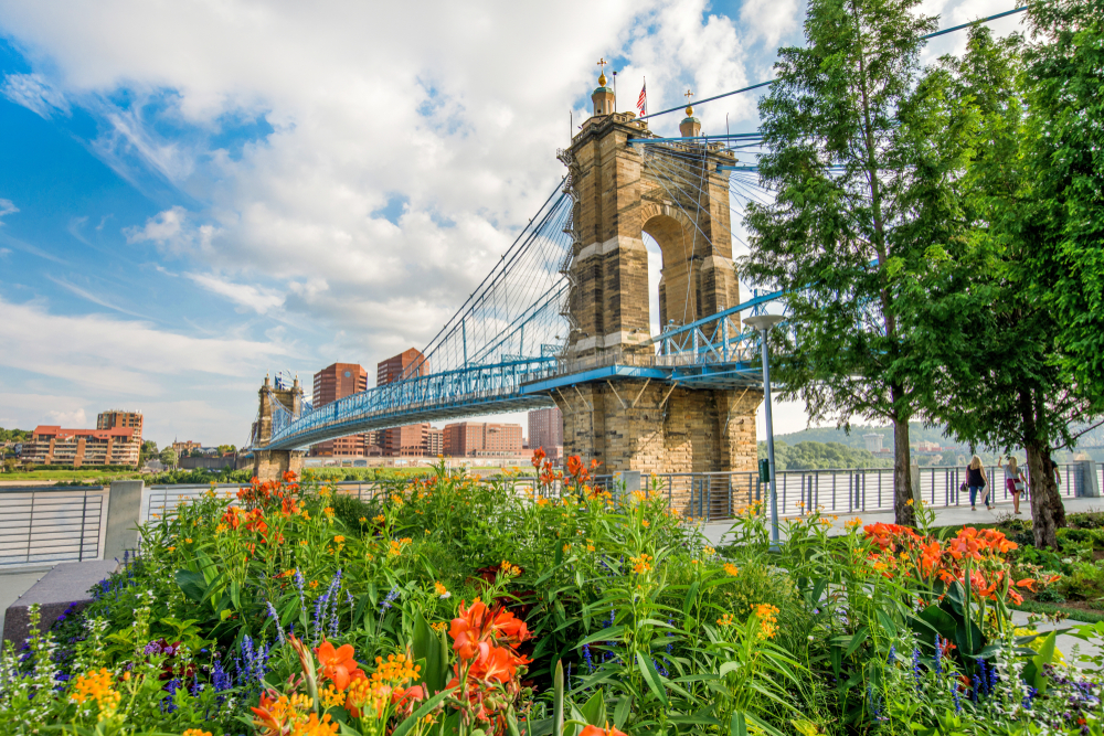 Looking out at a bridge crossing the river. The bridge is stone with blue railings and wires. You can see the river and a city skyline across the river. In front of the bridge is big garden with yellow, red, orange, and purple flowers. 