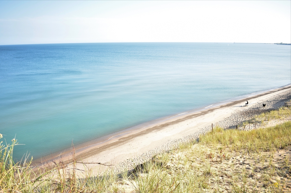 Looking down at Lake Michigan from the top of a large sand dune at Indiana Dunes National Lakeshore. The water in the lake is a bright blue, the sand is white, and you can see a person with their dog on the beach. The dune has tall grass growing in spotty places on it. It's one of the best weekend getaways in Indiana. 