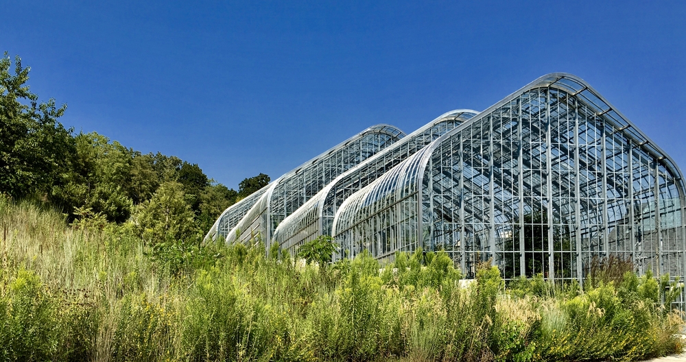 Looking at the large conservatories at the Lauritzen Gardens. There is also tall grasses and trees surrounding the conservatory. 