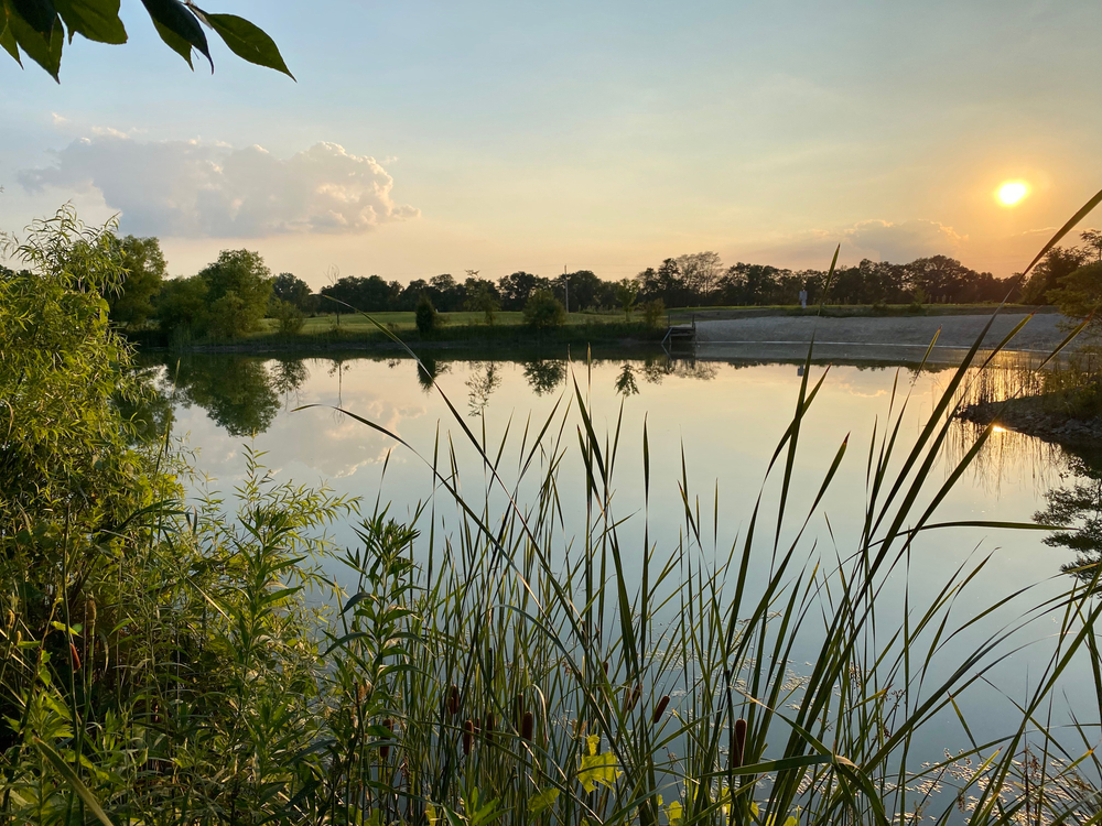 Looking out at a lake at sunset. You can see tall grasses, trees, and a grassy area behind the lake. There is also a pebble area for boats to enter the lake. 