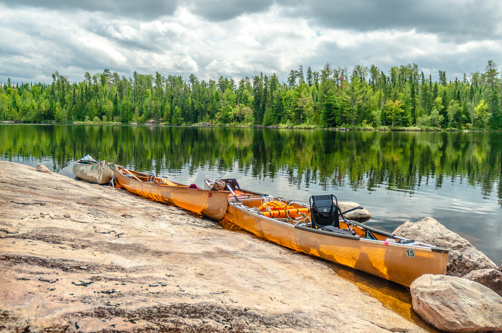 2 Yellow canoes set alongside shoreline with calm water and evergreen trees in background.