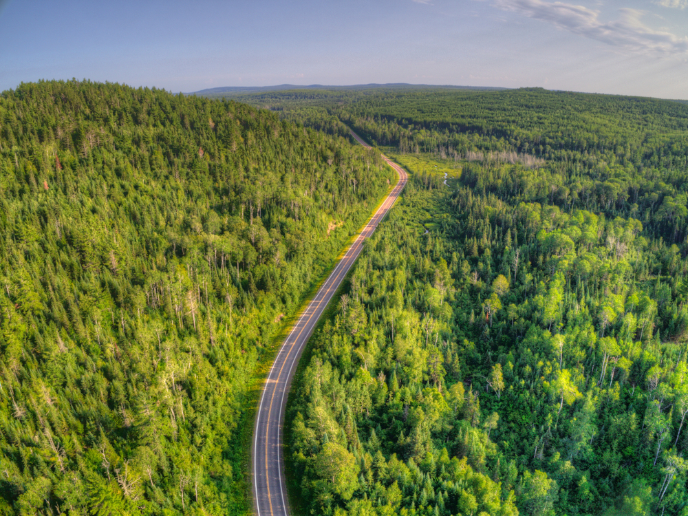 Road running through the tress from above. The Gunflint Trail in one of the things to do in Grand Marais