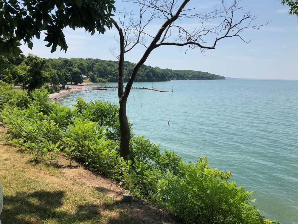 View from a cliff of the beach below with trees