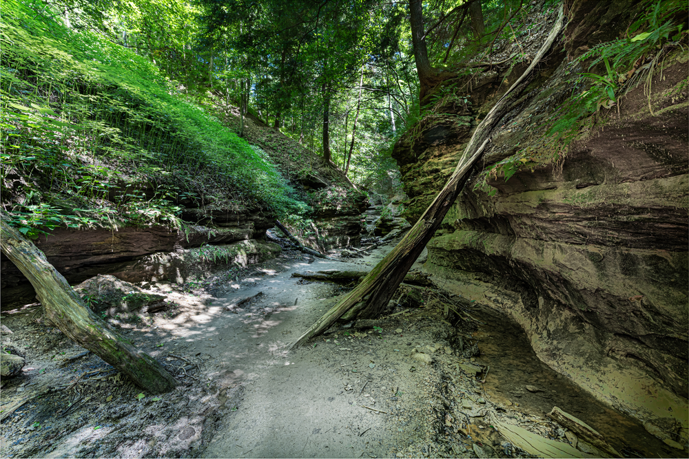 Looking down a stone corridor in a gorge in the middle of a dense forest. You can see grass, moss, and ferns growing on the stones. There are also old fallen trees and a small amount of water running through the gorge. 