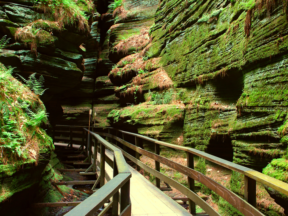 A narrow rock canyon with a small wooden walkway running through it. The rocks in the canyon are covered in green moss and ferns. 