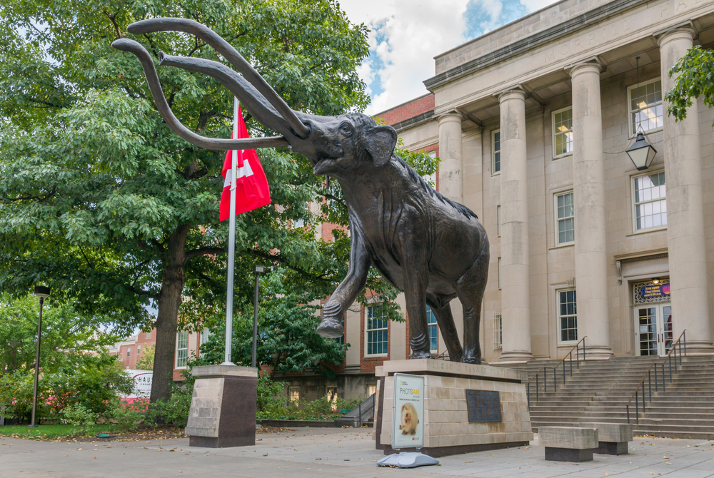 A large bronze sculpture of a mammoth  in a courtyard outside of a building on the campus of the University of Nebraska. 