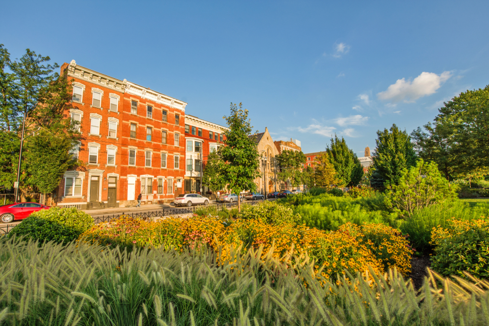 A small garden with tall grass, yellow flowers, and shrubs with a black fence. Across the street are old brick row homes. 