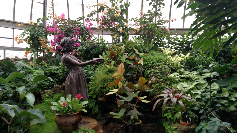 A garden in the Anna Scripps Whitcomb Conservatory. There are different plants with yellow, pink, red, and peach colored flowers. There is also a bronze state of a girl holding a bowl. 