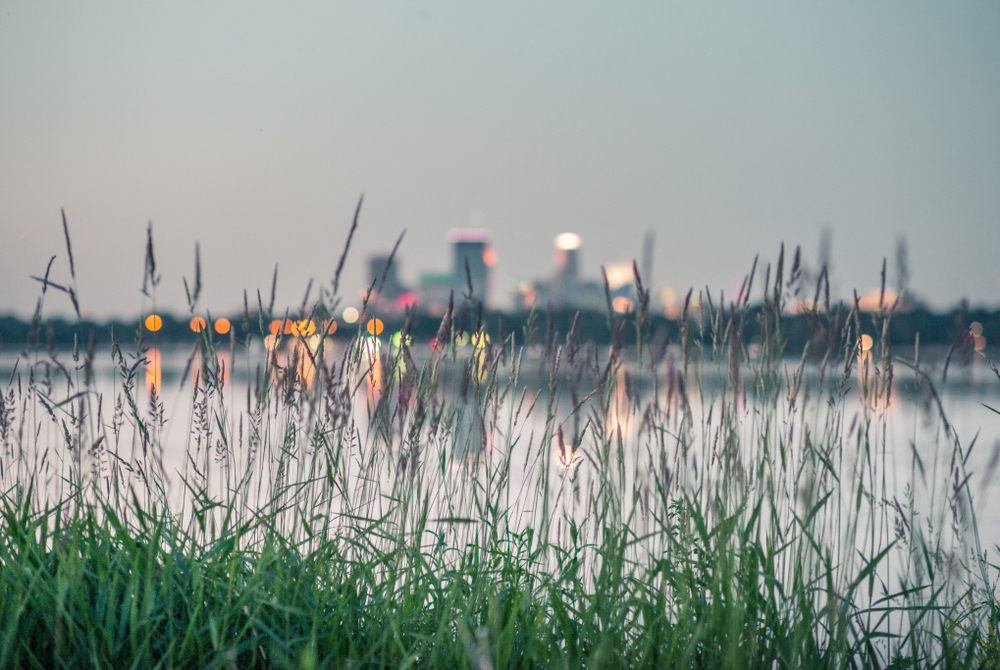 Minneapolis skyline taken across the lake through the grass