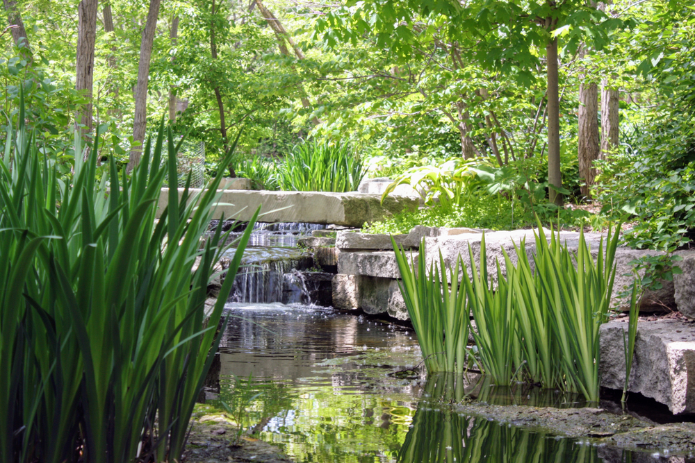 Long green grass and small waterfalls and streams flowing through the grass