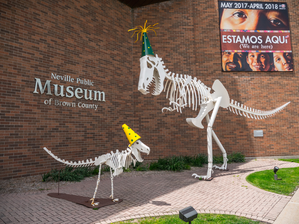 a wall with dinosaur skeleton placed in front of it things to do in green bay