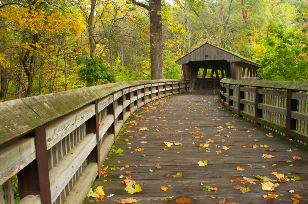 A covered bridge in autumn at Wildwood preserve