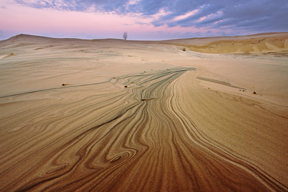 The beautiful dunes of Silver Lake State Park at sunset.